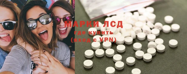 ECSTASY Бородино