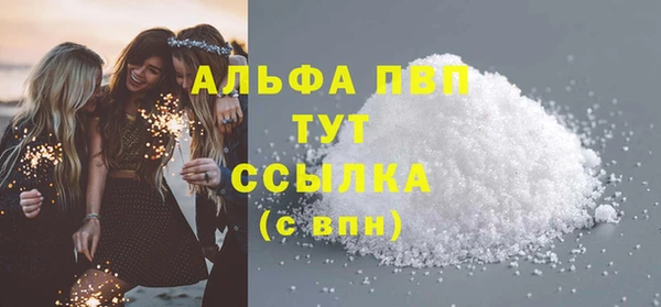 ECSTASY Бородино