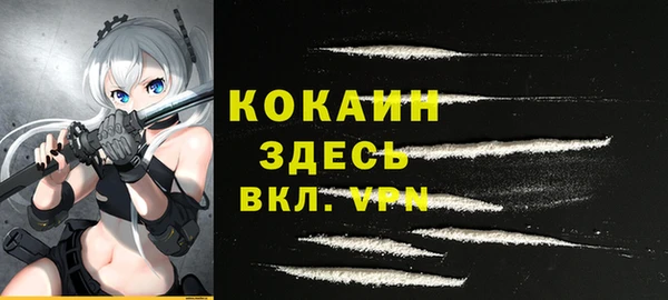 ECSTASY Бородино