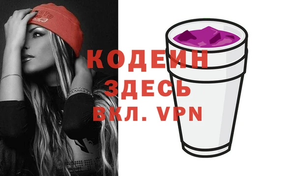 ECSTASY Бородино