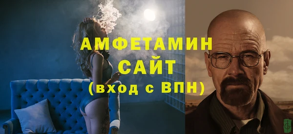 ECSTASY Бородино