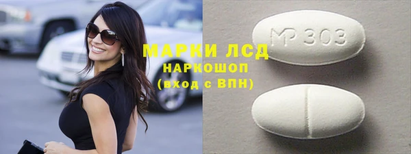ECSTASY Бородино