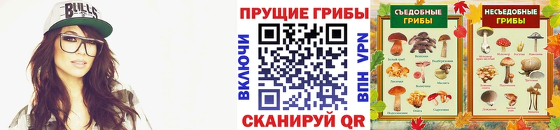 нарко площадка наркотические препараты  Черкесск  Псилоцибиновые грибы прущие грибы 